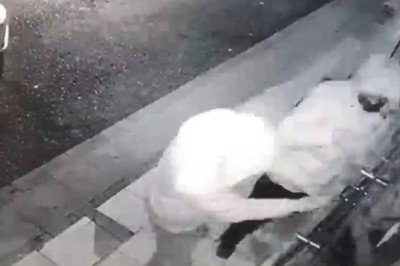 İstanbul'da 5 kişilik hırsızlık çetesi yakalandı