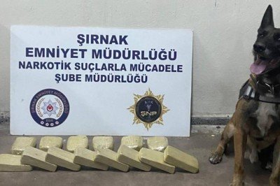 Şırnak'ta uyuşturucu ve kaçakçılık operasyonu