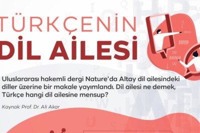 Kök dilden türeyen diller: Türkçe ilk kez ne zaman konuşuldu?