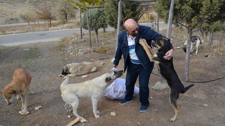 Köpekleri beslemek için 60 kilometre yol gidiyor