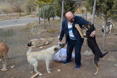 Köpekleri beslemek için 60 kilometre yol gidiyor