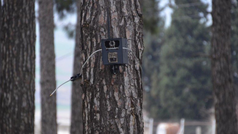 Yaban hayatına ekolojik köprü