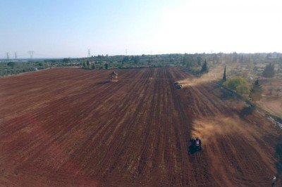 Antalya Orman Çiftliği'nde ikinci hububat ekimi yapıldı