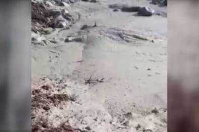 Felaketin asıl sorumluları bulunsun