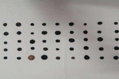 Gaziantep'te Roma dönemine ait olduğu değerlendirilen 45 sikke ele geçirildi