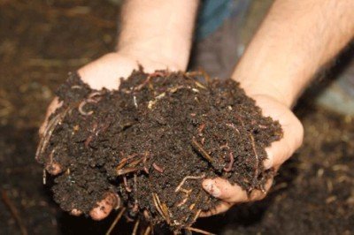 Gübre ve zirai ilaç satışları durduruldu