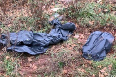 Sarıyer'de orman içinde kesilmiş atlara ait parçalar bulundu!