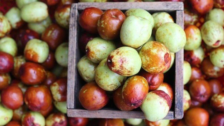 Hünnapın Faydaları Nelerdir? Hünnap Ne İşe Yarar? Neye İyi Gelir?