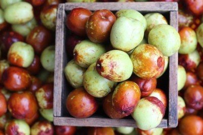 Hünnapın Faydaları Nelerdir? Hünnap Ne İşe Yarar? Neye İyi Gelir?