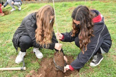 Öğretmenler anısına hatıra ormanı oluşturuldu