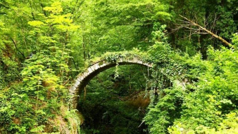 Tarihi Banakna Köprüsü keşfedilmeyi bekliyor