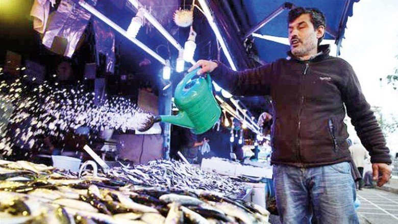 Hamsi sürüleri kuzeye gidiyor! Kilosu 10 TL'den 20 TL'ye çıktı