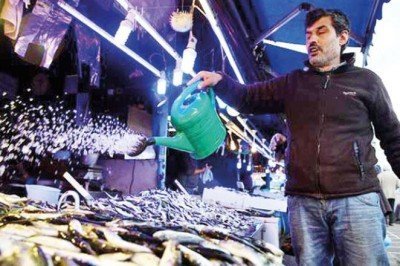 Hamsi sürüleri kuzeye gidiyor! Kilosu 10 TL'den 20 TL'ye çıktı