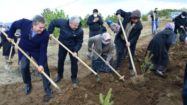 Kırşehir'de fidanlar toprakla buluşturuldu