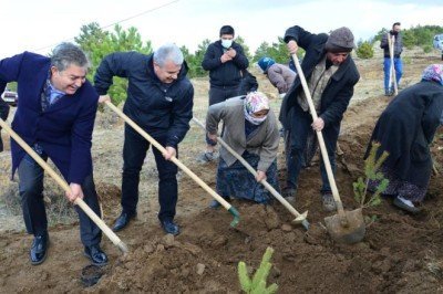 Kırşehir'de fidanlar toprakla buluşturuldu