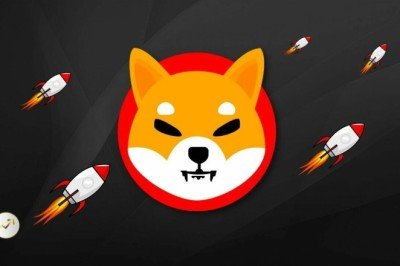 Shiba Coin nedir? Shiba Coin ne kadar? Shiba Coin yükseliyor mu? Shiba Coin ne kadar yükseldi? Canlı Shiba Coin değeri!