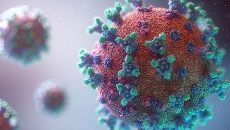 30 Kasım 2021 Salı Güncel Koronavirüs Tablosu