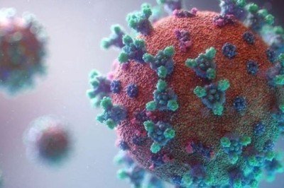 30 Kasım 2021 Salı Güncel Koronavirüs Tablosu