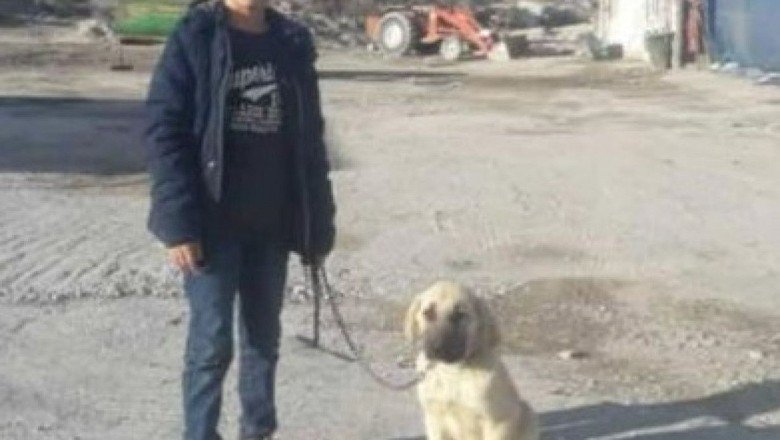 Köpeklerin saldırısına uğrayan Enes, hayatı tehlikeyi atlattı!