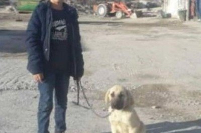 Köpeklerin saldırısına uğrayan Enes, hayatı tehlikeyi atlattı!