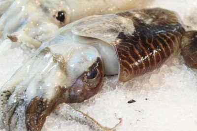 Sübye nedir? Beğendili sübye nasıl yapılır?