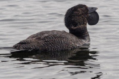 2021'in en tuhaf 15 dünya haberi