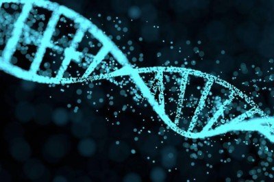 1979'da kaybolan kişinin cesedi DNA eşleştirmesiyle teşhis edildi