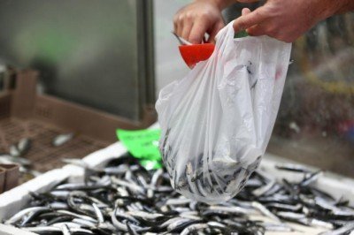 Balıkçılar fırtınadan denize açılamayınca fiyatlar arttı