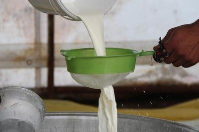 Çiğ sütün satış fiyatı belli oldu