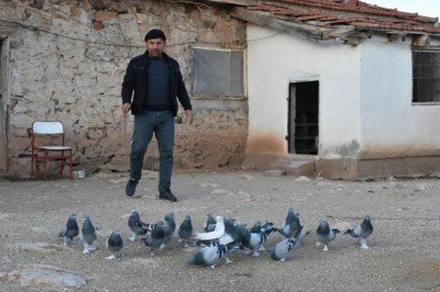 Emekli özel harekatçı kendini kuşlarına adadı