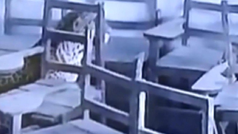 Hindistan'da okula leopar girdi