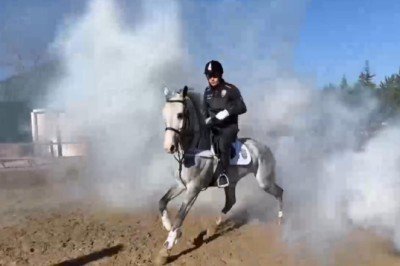 Asayişin bekçileri: Atlı polisler