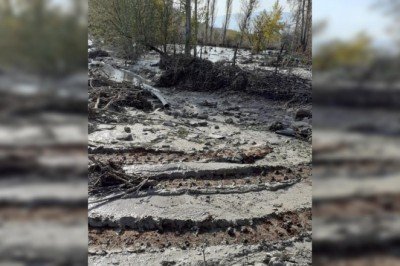 Çevre kirliliğine neden olan işletmeye 12 milyon lira ceza