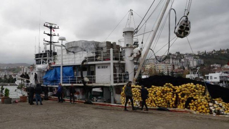 Karadeniz&amp;#39;de boy sınırı altında hamsi avı tehlikesi