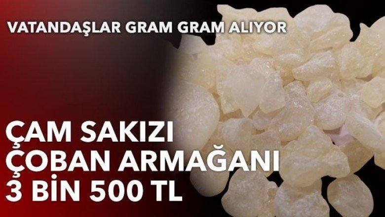 Damla sakızın kilosu 3 bin 500 lira