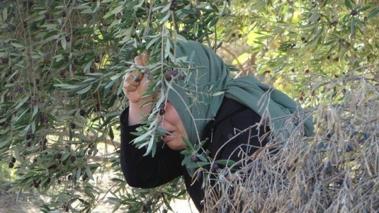 İlaç almak için evden çıktı: Döndüğünde karşısında anne ve babasının cesedini buldu