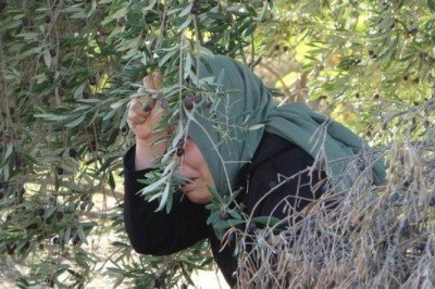 İlaç almak için evden çıktı: Döndüğünde karşısında anne ve babasının cesedini buldu