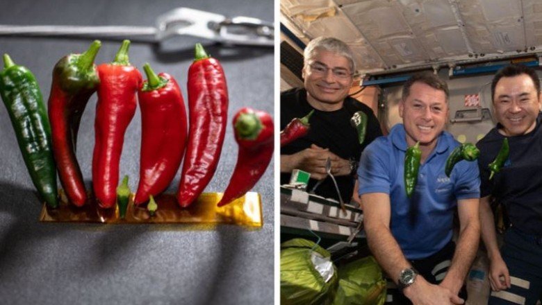 NASA'dan uzayda 'biberli' iki dünya rekoru - Cumhuriyet