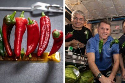 NASA'dan uzayda 'biberli' iki dünya rekoru - Cumhuriyet