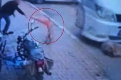 Afyonkarahisar'da köpeğe şiddet: Biri ezdi, diğeri duba fırlattı