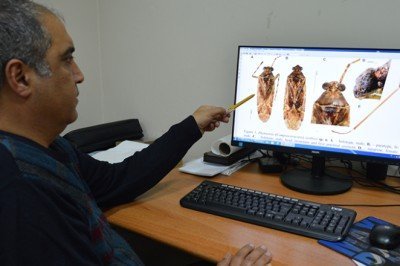 Türkiye'de keşfedilen böcek türüne eski bakanın ismi verildi