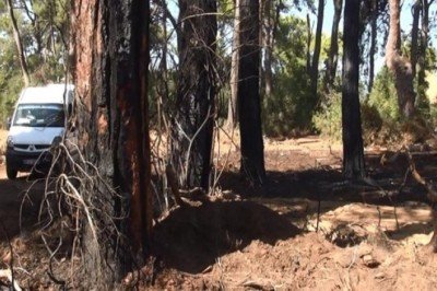 Antalya'da ormanı yakarken yakalanmıştı! Savunması çileden çıkardı