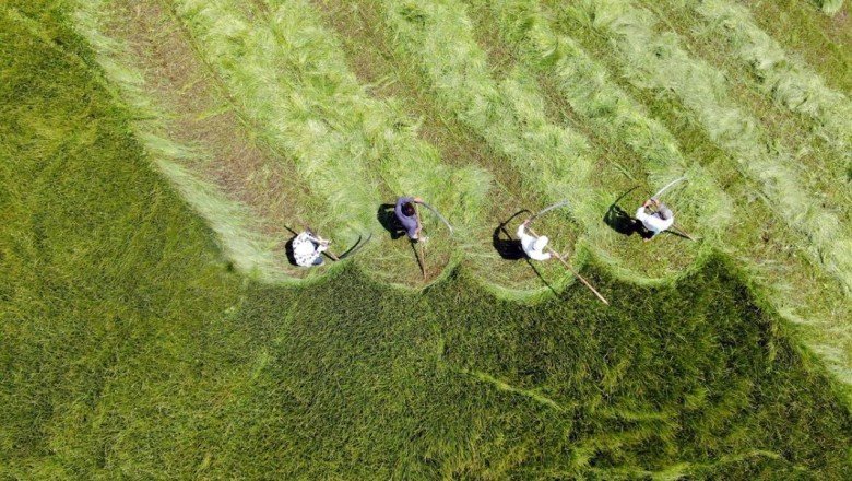 Çiftçiye tedbir paketi: 2,6 milyar lira ödenecek