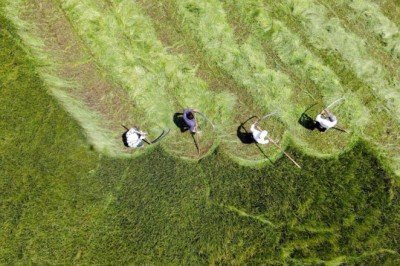 Çiftçiye tedbir paketi: 2,6 milyar lira ödenecek