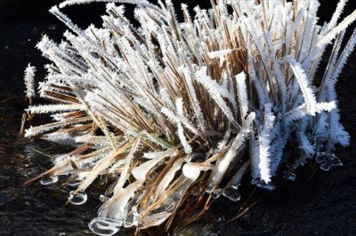 Kars'ta dondurucu soğuklar etkisini sürdürüyor