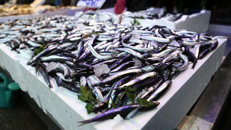 Fırtına dindi, balık fiyatları düştü