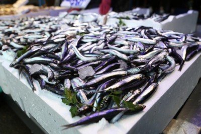 Fırtına dindi, balık fiyatları düştü