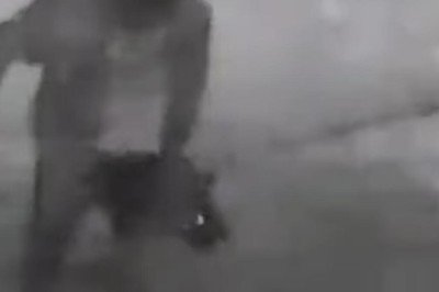 Daha önce bir kediyi öldürmüştü... Şimdi de köpeğe işkenceden serbest!