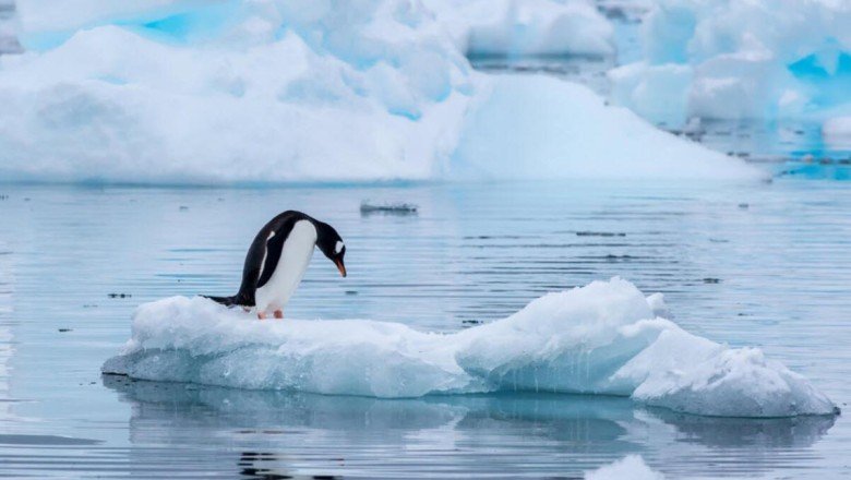 İklim krizine yönelik kaygı: Eko-anksiyete
