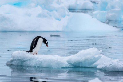 İklim krizine yönelik kaygı: Eko-anksiyete